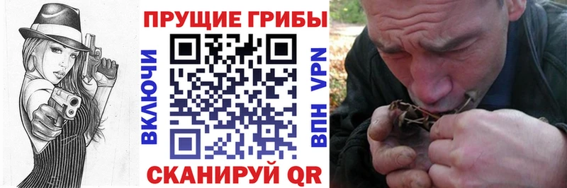 Купить закладки  Канаш  Галлюциногенные грибы ЛСД 